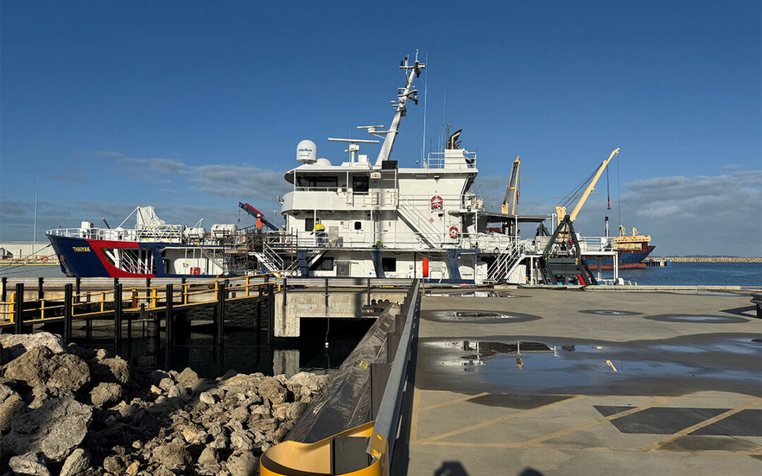 Setting the Benchmark: DLM 2025 Completed for ABFC Thaiyak in Perth